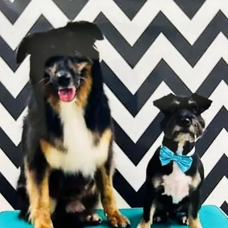 Yellow Appartement *